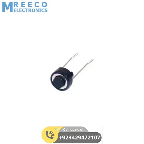 2 PIN Push Button Switch - Front View