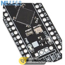 STM32F401 256KB ROM Black Pill Development Board - Angle View