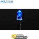 Diffused 5mm Blue LED Light Blue Pakistan - Front View