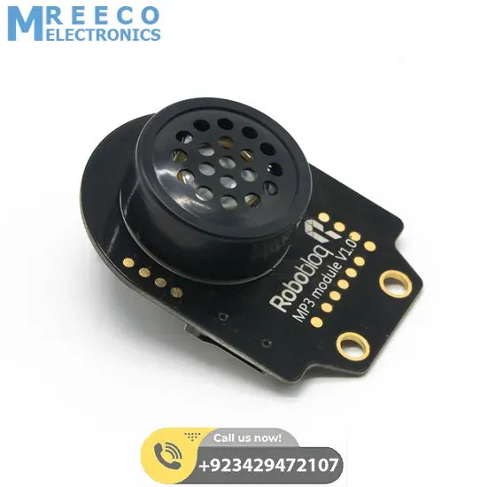 Robobloq MP3 Module with RJ11 Connecting Wire in Pakistan - Front View